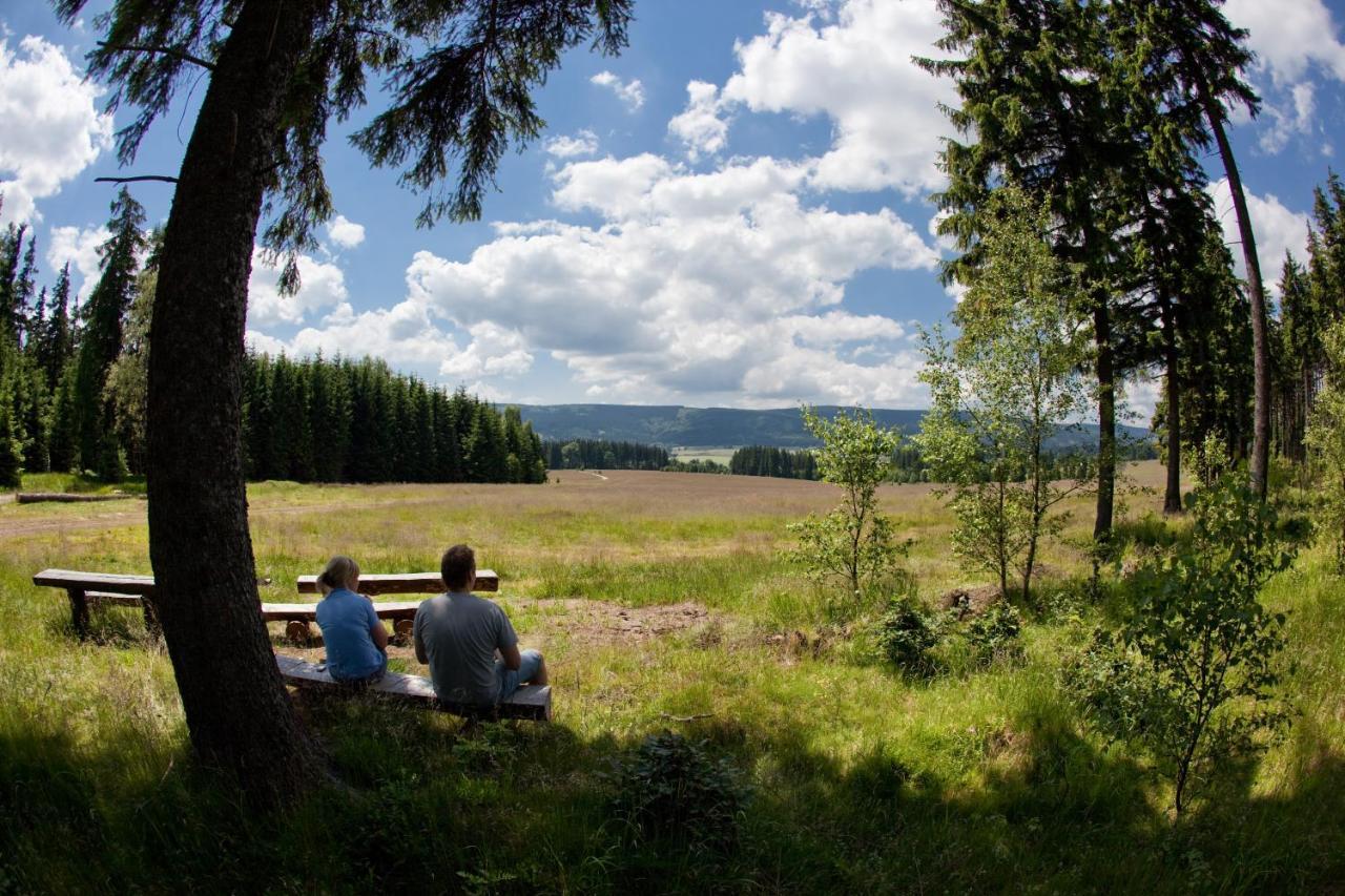Przystanek Lasowka Exteriér fotografie