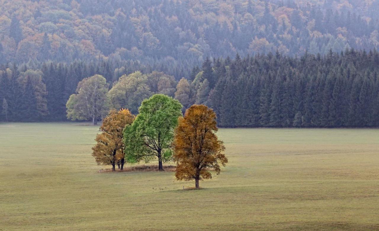 Przystanek Lasowka Exteriér fotografie