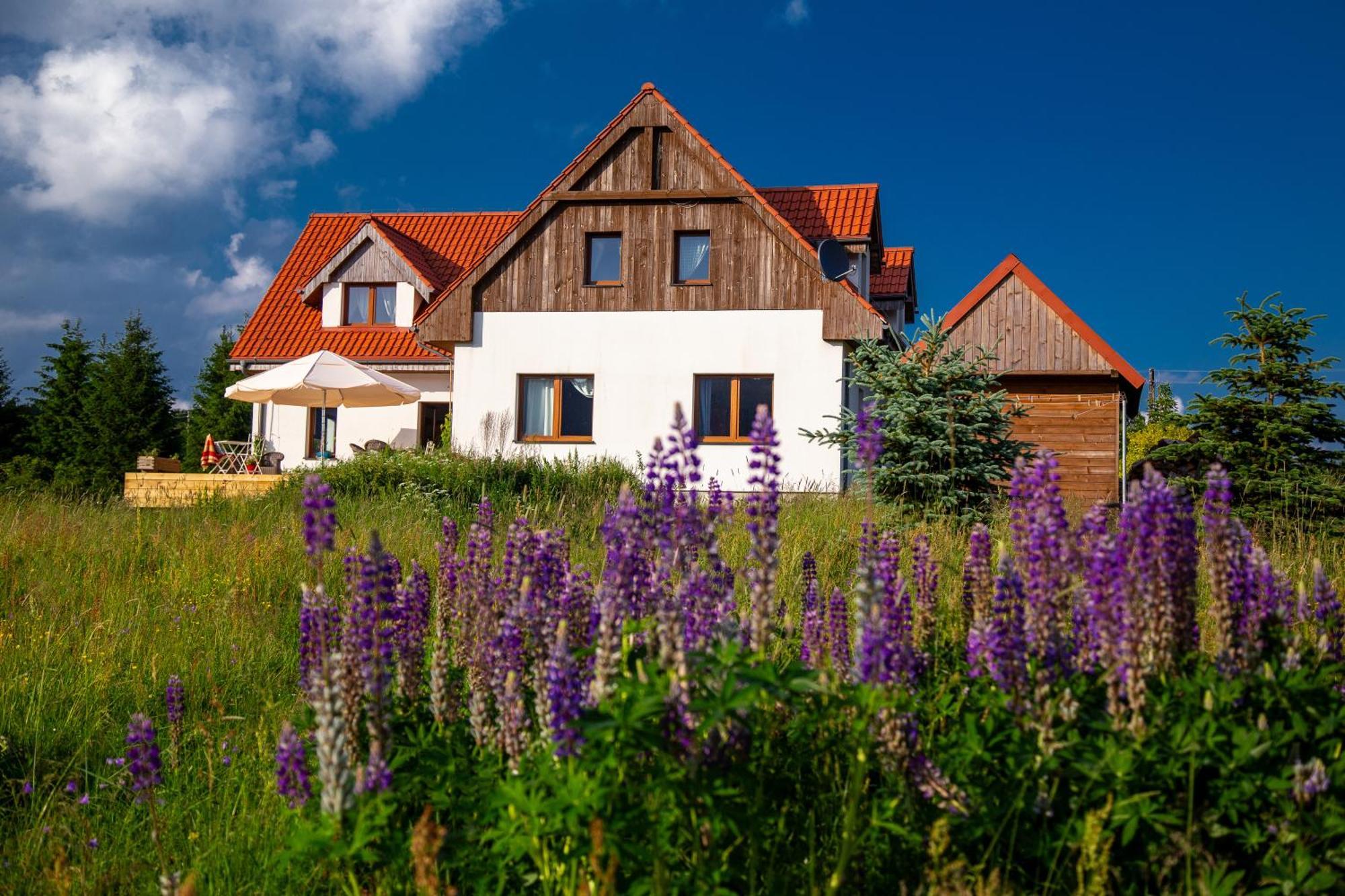 Przystanek Lasowka Exteriér fotografie